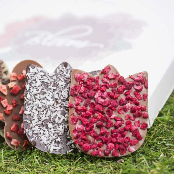 Bloom Chocolate Flowers 6 - Schokolade 6 Bloom Chocolate Flowers 6 - Schokolade – Bild 4