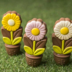 ChocoDaisy - Gelb - Schokolade -Outlet CHOCOLISSIMO Store ChocoDaisy Gelb Schokolade 3