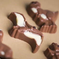 Dinosaurier Aus Schokolade 9 Dinosaurier Aus Schokolade -Outlet CHOCOLISSIMO Store Dinosaurier aus Schokolade 3