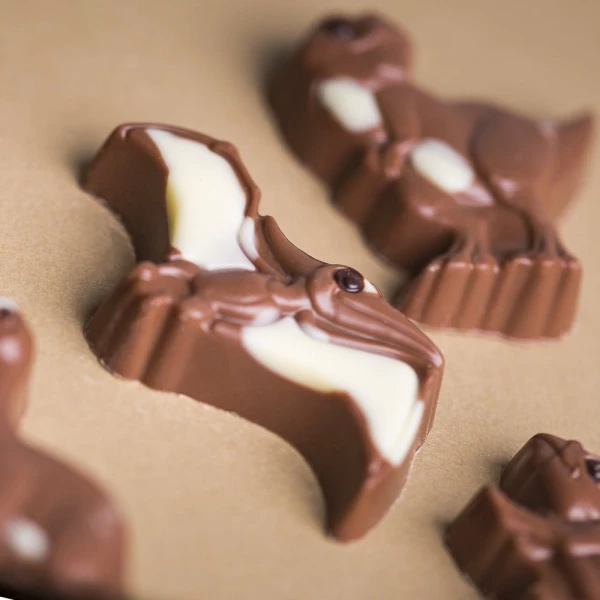 Dinosaurier Aus Schokolade 6 Dinosaurier Aus Schokolade – Bild 4