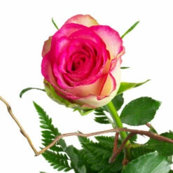 Rosengesteck Weiß-rosa -Outlet CHOCOLISSIMO Store Rosengesteck weiss rosa 2