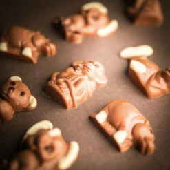 Schokoladen Zoo -Outlet CHOCOLISSIMO Store Schokoladen Zoo 2