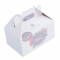 Schokolierte Haselnüsse -Outlet CHOCOLISSIMO Store Schokolierte Haselnuesse 2